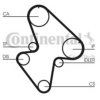 CONTITECH CT710 Timing Belt